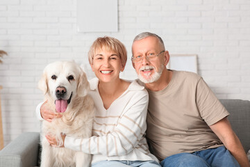 Mature couple with Labrador dog sitting on sofa at home