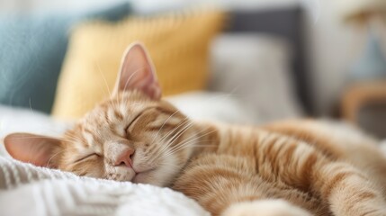 A content orange cat sleeps peacefully on a bed, enjoying the warmth and natural light streaming in, portraying ultimate comfort and serenity.