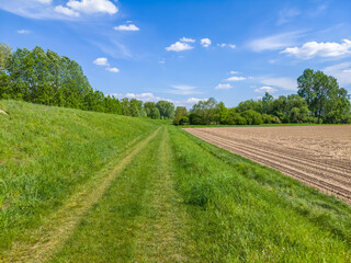 Footpath along the flood embankment by the agricultural field in springtime.