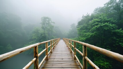 Fototapeta premium A wooden bridge extends through a misty forest, enveloped in fog, creating a serene and mysterious atmosphere, inviting tranquility and reflection.