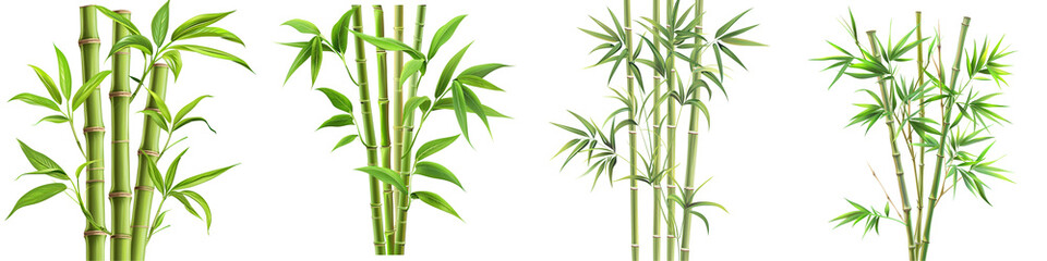 A collection of vibrant green bamboo plants arranged artistically, perfect for design and nature-themed projects.