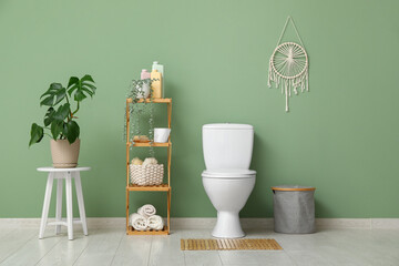 Toilet bowl, shelving units and houseplant near green wall in restroom