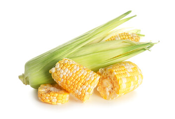 Fresh corn cobs on white background