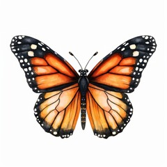 Watercolor, painting of a butterfly with orange wings and black spots. The butterfly is the main focus of the painting, and it is in a natural setting. The colors used in the painting are bright