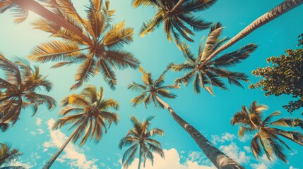 A breathtaking view of tall palm trees reaching towards a vibrant blue sky, symbolizing relaxation, escape, paradise, and tropical vacation.