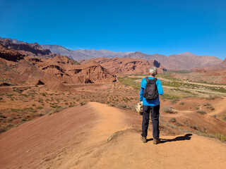 Man with his back observing a desert valley and mountains of sedimentary rocks