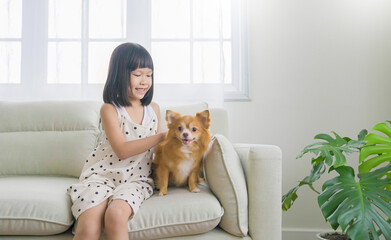 Portrait of little asian girl stay home sit on the sofa  living room with lovely dog. Happy moment of pure love toddler playing with little dog, minimal happy pet animal lifestyle concept