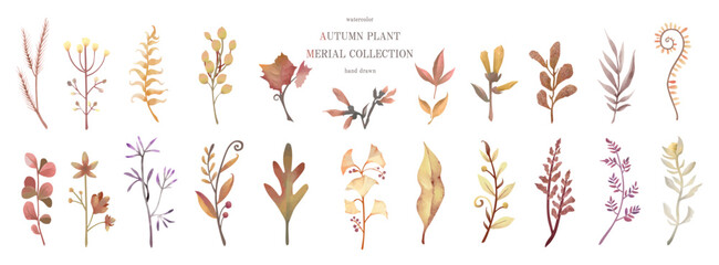 秋, 葉, 植物, 紅葉, ベクター, 水彩, アイコン, もみじ, イチョウ, 葉っぱ, 挿絵, セット, フレーム, イラスト