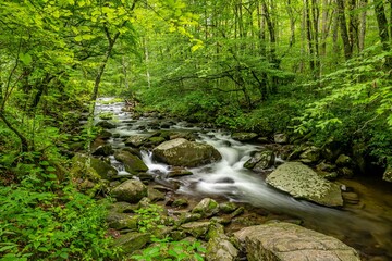 waterfall in summer