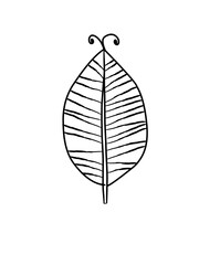 Outline monstera leaf. Hand drawn sketch black and white tropical plants vector illustration. Palm leaf line art. Engraved style.
