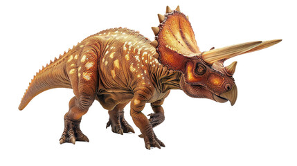 Fototapeta premium Triceratops isolated on white background