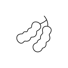 Delightful outline of two ripe tamarind pods hanging from a branch, showcasing their unique segmented texture and natural beauty for food and ingredient inspiration.