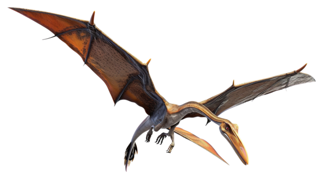 pterodactyls isolated on white background