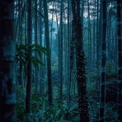 Bamboo Grove at Dusk

