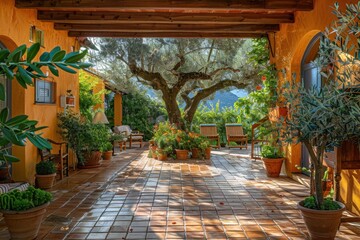 Fototapeta premium Mediterranean Patio with Olive Trees