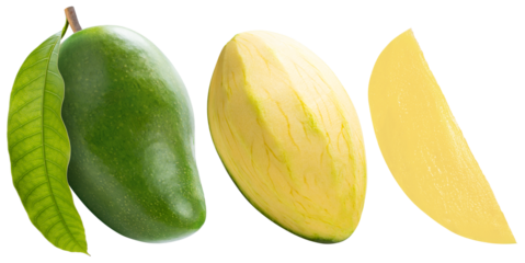 Green Mango tropical fruit isolate on white background PNG File.