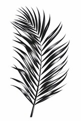 Obraz premium Black and white flat vector art of a palm leaf, svg style, isolated on white background, simple vector art design 