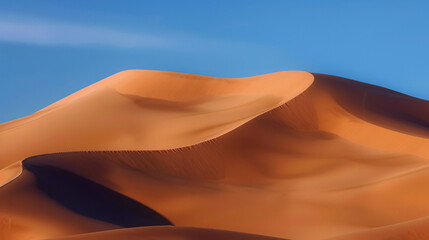 Desert Tapestry: Woven with Sand and Kissed by Blue