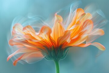 Highlights the delicate beauty and fleeting nature of a flower in motion.