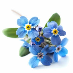 Fototapeta premium flower