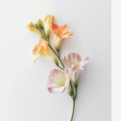 Naklejka premium flower