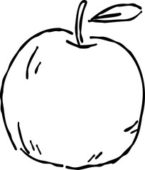 Stylish hand drawn illustration of a Apple, coloring autumn.
