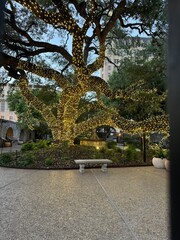 San Antonio Alamo Mission