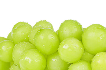 Close-up of fresh Shine Muscat grapes with transparent water droplets. white background - vitis vinifera 'shine muscat'