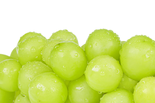 Close-up of fresh Shine Muscat grapes with transparent water droplets. white background - vitis vinifera 'shine muscat'