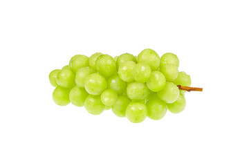 A fresh bunch of Shine Muscat. white background - vitis vinifera 'shine muscat'