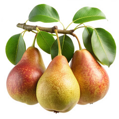 pear