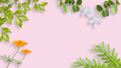 spring flowers and green leaves frame, Creative lifestyle, summer or spring concept. Copy space, flat lay, top view. cute background