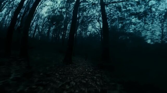 Grainy Spooky Drone Footage in Creepy Forest at Night