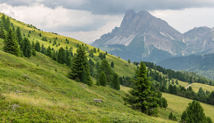 Grassy slope with pine trees in the Italian dolomites, mountain range in the background. Peitlerkofel mountain in the background. Cloudy summer day. Alpine landscape, health lifestyle.