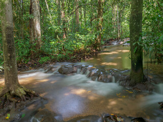 Obraz premium Waterfalls in the rainforest are plentiful.