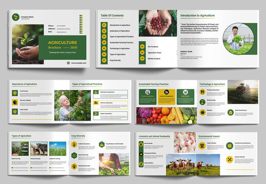 Agriculture Brochure Template Design