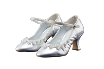 Ballroom Dance Shoes isolated on transparent background