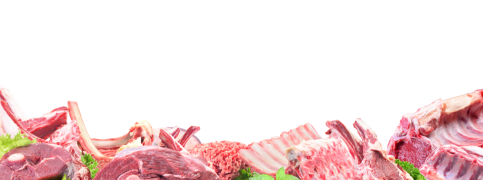 Meat lamb on a white background isolated