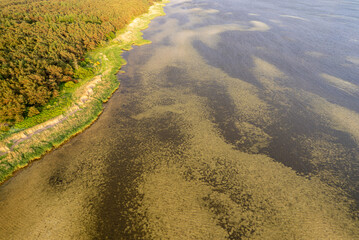 Jastarnia on the Hel Peninsula on the Baltic Sea drone photo