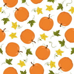 Vector seamless pattern of different pumpkins with leaves and flowers. Horizontal autumn background for textiles, packaging and cards.