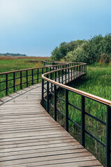 Fototapeta premium Eco path wooden walkway in Lukomorie, ecological trail path - route walkways laid in the forest, in St. Petersburg, Russia.