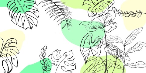 Line tropical abstract 