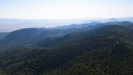 Obraz premium forests in the mountain range area and misty weather in the magnificent landscape