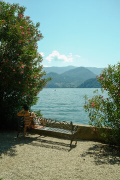 bench in the lake