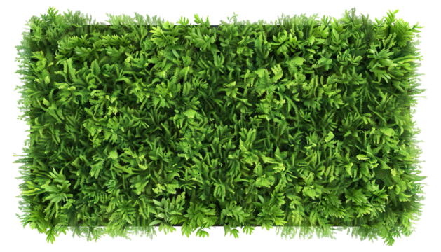 Green plant wall panel with lush foliage, cut out