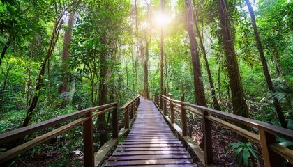 A pristine forest is a natural environment, unaltered by humans, supporting diverse biological communities.