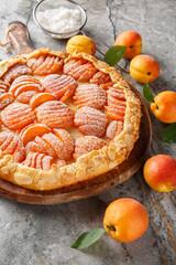 Apricot almond whole meal gallette cake on board closeup on the table. Vertical