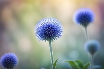 Globe thistle flower bokeh background, Ai Generated