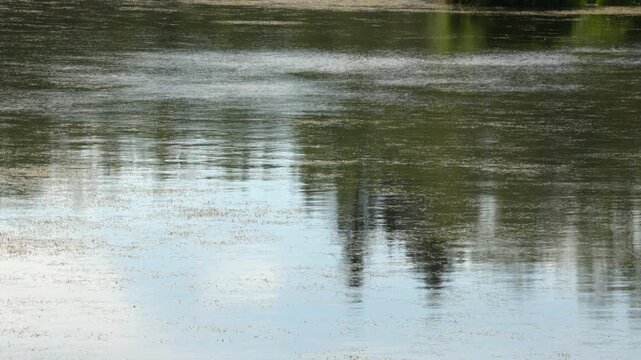 Nature background: Breeze creates pattern on surface of shallow pond
