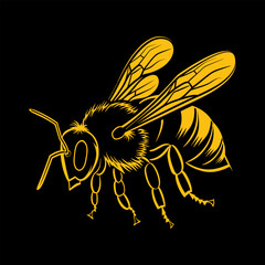honeybee illustration on a black background
